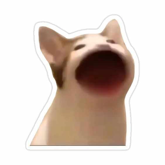 Pop Cat Meme Vinyl Sticker with open mouth design